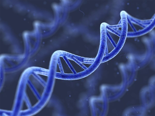پلاسمید DNA